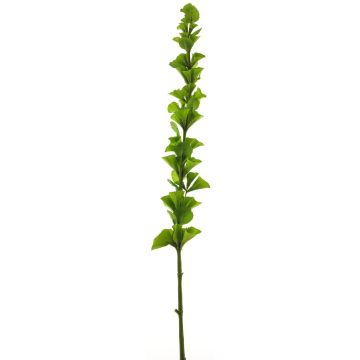 Konstgjord blomma, musselblomma PINWAN, grön, 105cm Konstgjord blomma, musselblomma PINWAN, grön, 105cm