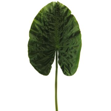 Dekorationsblad Alocasia Odora HAOYUE, grönt, 75cm Dekorationsblad Alocasia Odora HAOYUE, grönt, 75cm