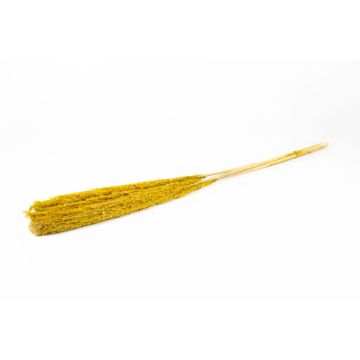 Torkat vassbunt DONJETA, gul, 115-120cm, Ø15cm Torkat vassbunt DONJETA, gul, 115-120cm, Ø15cm