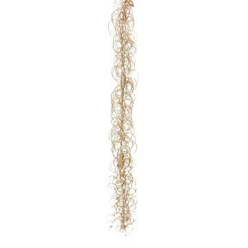 Dekorativ suckulent Tillandsia Usneoides JUANYU, beige, 100cm Dekorativ suckulent Tillandsia Usneoides JUANYU, beige, 100cm