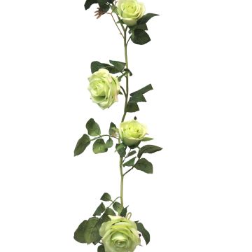 Konstblommig girland, ros KAILIN, ljusgrön, 145cm Konstblommig girland, ros KAILIN, ljusgrön, 145cm