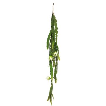 Dekorativ bladkaktus att hänga HUALIAN med blommor, stödpinne, krämfärgad, 100cm Dekorativ bladkaktus att hänga HUALIAN med blommor, stödpinne, krämfärgad, 100cm