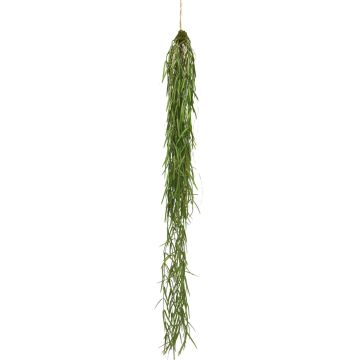 Dekorativ hängande växt Asparagus sprengeri LINGLI, grön, 95cm