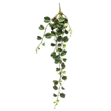 Dekorativ hängande hjärtbladväxt XIANHUI, stödpinne, grön, 100cm Dekorativ hängande hjärtbladväxt XIANHUI, stödpinne, grön, 100cm