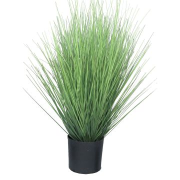 Dekorativt gräs, rörhirse YAMIN, grönt, 60cm Dekorativt gräs, rörhirse YAMIN, grönt, 60cm