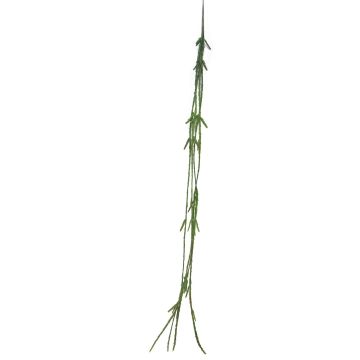 Dekorativ hängväxt Rhipsalis MINYAN, på pinne, grön, 105cm Dekorativ hängväxt Rhipsalis MINYAN, på pinne, grön, 105cm