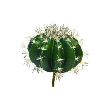 Dekorativ kaktus svärmorsstol TONGNA, på pinne, grön, 18cm Dekorativ kaktus svärmorsstol TONGNA, på pinne, grön, 18cm