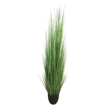 Konstgräs, rävsvansgräs TONGLI i dekorativ kruka, grönt, 180cm Konstgräs, rävsvansgräs TONGLI i dekorativ kruka, grönt, 180cm