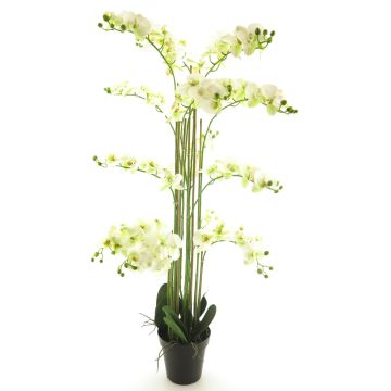 Konstblomma Phalaenopsis-orkidé CHENXU, vit, 140cm