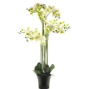 Konstblomma Phalaenopsis-orkidé CHENXU, vit, 110cm