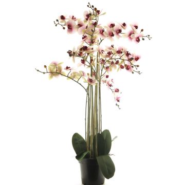 Konstblomma Phalaenopsis-orkidé CHENXU, rosa-krämfärgad, 110cm