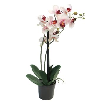 Konstblomma Phalaenopsis-orkidé CHENXU, rosa-krämfärgad, 50cm Konstblomma Phalaenopsis-orkidé CHENXU, rosa-krämfärgad, 50cm