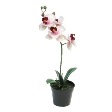 Konstgjord Phalaenopsis-orkidé CHENXU, rosa-krämfärgad, 35cm Konstgjord Phalaenopsis-orkidé CHENXU, rosa-krämfärgad, 35cm
