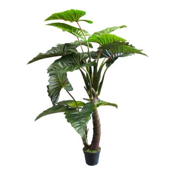 Konstgjord växt Colocasia FENYUE, grön, 220cm Konstgjord växt Colocasia FENYUE, grön, 220cm