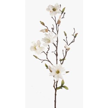 Konstblomma Magnolia LILO, krämfärgad, 75cm, Ø5-9cm Konstblomma Magnolia LILO, krämfärgad, 75cm, Ø5-9cm