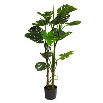 Dekorativ växt Philodendron Monstera Deliciosa LIYUNA, 120cm Dekorativ växt Philodendron Monstera Deliciosa LIYUNA, 120cm