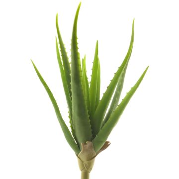 Konstgjord suckulent, aloe vera DAHENG på stickpinne, grön, 40cm