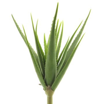 Konstgjord suckulent, aloe vera DAHENG på stickpinne, grön, 60cm