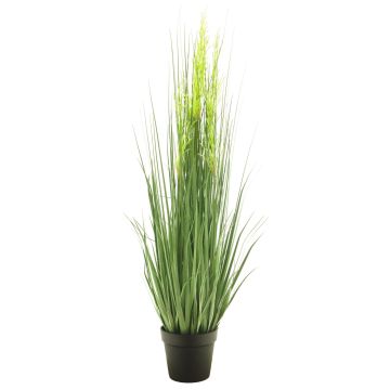 Dekorativt gräs Silvergräs RULIN med ax, dekorativ kruka, grön-gul, 130cm