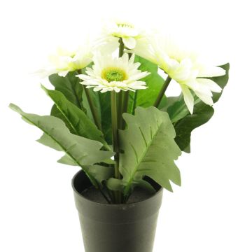 Konstblomma Gerbera XIAOOU i dekorativ kruka, krämfärgad, 25cm
