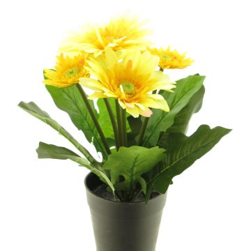 Konstblomma Gerbera XIAOOU i dekorativ kruka, gul, 25cm