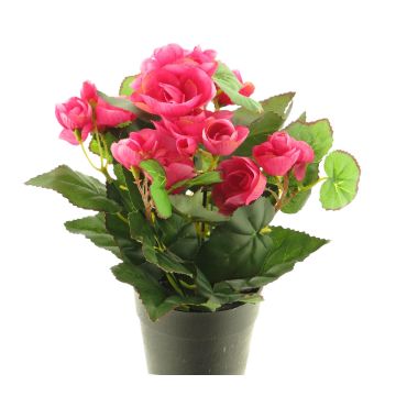 Konstgjord blomma Begonia HETIAN i dekorativ kruka, cerise, 25cm Konstgjord blomma Begonia HETIAN i dekorativ kruka, cerise, 25cm