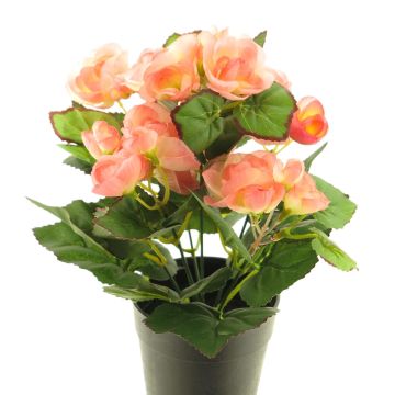 Konstgjord begonia HETIAN i dekorativ kruka, laxrosa, 25cm