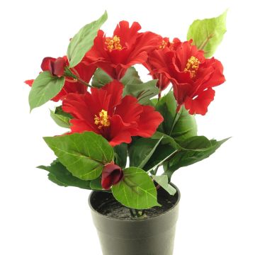 Konstgjord blomma, hibiskus GUOXIAO i dekorativ kruka, röd, 25cm