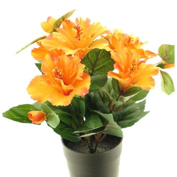 Konstgjord blomma, hibiskus GUOXIAO i dekorativ kruka, orange, 25cm