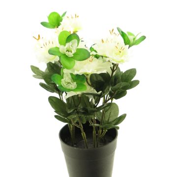 Konstgjord azalea JINGSHU i dekorativ kruka, krämfärgad, 25cm Konstgjord azalea JINGSHU i dekorativ kruka, krämfärgad, 25cm