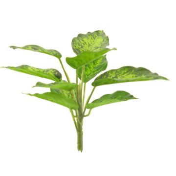 Dekorativ växt Dieffenbachia XUMEI, sticka, grön-krämfärgad, 25cm