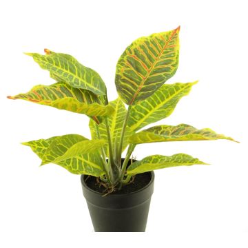 Konstväxt Croton SUNLAN i dekorativ kruka, grön-gul, 25cm Konstväxt Croton SUNLAN i dekorativ kruka, grön-gul, 25cm