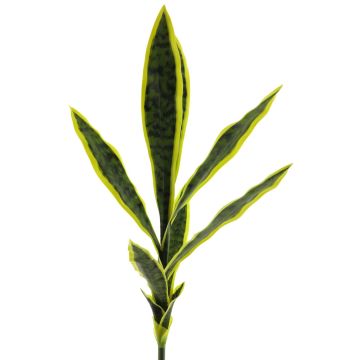 Dekorativ suckulent Sansevieria SUNLIN på stödpinne, grön-gul, 70cm Dekorativ suckulent Sansevieria SUNLIN på stödpinne, grön-gul, 70cm