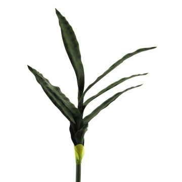 Dekorativ suckulent Sansevieria SUNLIN på stödpinne, grön, 60cm Dekorativ suckulent Sansevieria SUNLIN på stödpinne, grön, 60cm