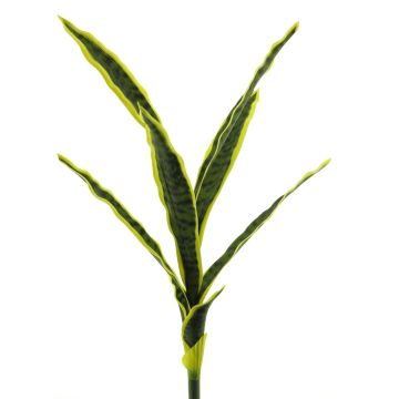 Dekorativ suckulent Sansevieria SUNLIN på stödpinne, grön-gul, 60cm Dekorativ suckulent Sansevieria SUNLIN på stödpinne, grön-gul, 60cm