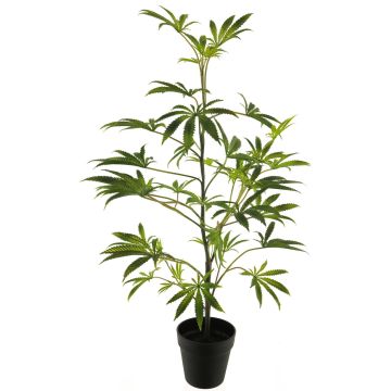 Konstväxt Fingeraralie SHANRU, konststam, dekorativ kruka, grön, 90cm Konstväxt Fingeraralie SHANRU, konststam, dekorativ kruka, grön, 90cm