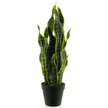 Konstgjord suckulent Sansevieria ANQING i dekorativ kruka, grön-gul, 50cm Konstgjord suckulent Sansevieria ANQING i dekorativ kruka, grön-gul, 50cm