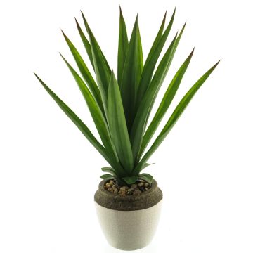 Dekorativ suckulent Aloe Vera SHURUI i keramikkruka, grön, 45cm Dekorativ suckulent Aloe Vera SHURUI i keramikkruka, grön, 45cm