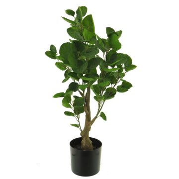 Plastväxt Fiederaralie SHANG, konstgjord stam, grön, 65cm Plastväxt Fiederaralie SHANG, konstgjord stam, grön, 65cm