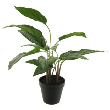Plastväxt kolbtråd XIPING, dekorativ kruka, grön, 50cm