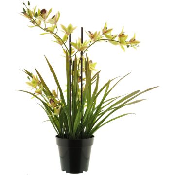 Konstblomma Cymbidium-orkidé XINGUI, grön-röd, 70cm