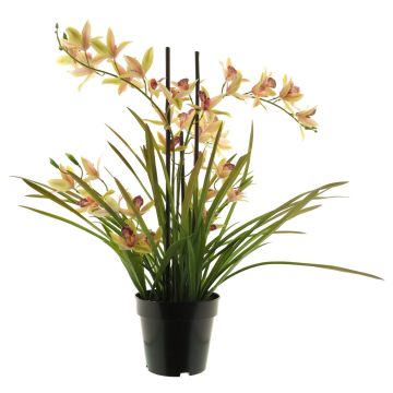 Konstblomma Cymbidium-orkidé XINGUI, rosa-grön, 70cm Konstblomma Cymbidium-orkidé XINGUI, rosa-grön, 70cm