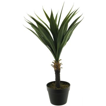 Dekorativ suckulent Agave furcraea gigantea HUISHAN, dekorativ kruka, grön, 75cm