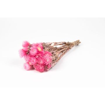Torkad stråblomsterbukett BIBIANA, ljusrosa, 30-40cm, Ø15cm Torkad stråblomsterbukett BIBIANA, ljusrosa, 30-40cm, Ø15cm