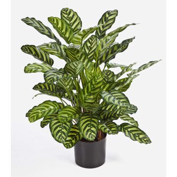 Konstgjord Calathea Makoyana BADU, grön-gul, 80cm