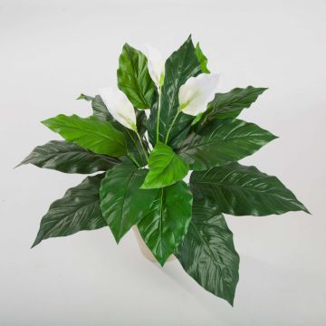 Konstgjord Spathiphyllum ROMY med blommor, på stödpinne, vit, 70cm Konstgjord Spathiphyllum ROMY med blommor, på stödpinne, vit, 70cm