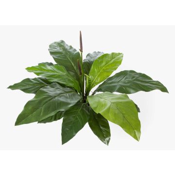 Konstgjord Anthurium HAILEY, grön, 85cm