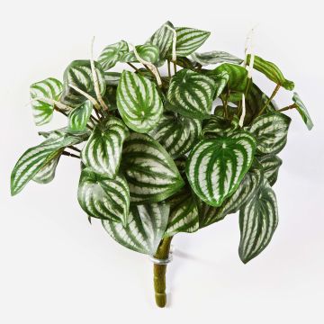 Konstväxt dvärgpeppar JANDIRA på stödpinne, grön-vit, 30cm