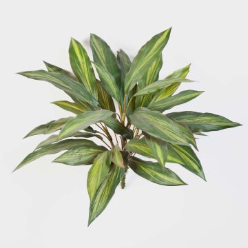 Konstgjord drakträd Fragrans MERON på stativ, grön-gul, 50cm
