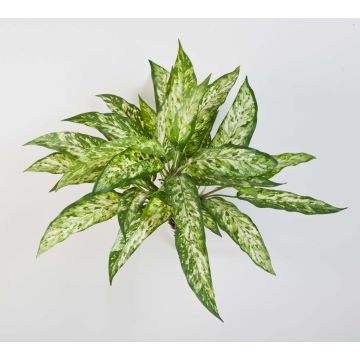 Konstgjord kolbenfaden ASMARA på stativ, grön-vit, 50cm